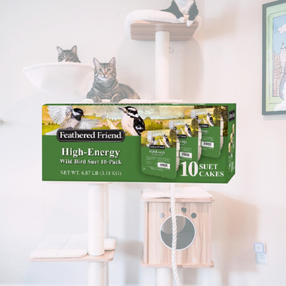 Picture of Global Harvest Foods 109810 High-Energy Wild Birds Suet Cake, 10 Piece