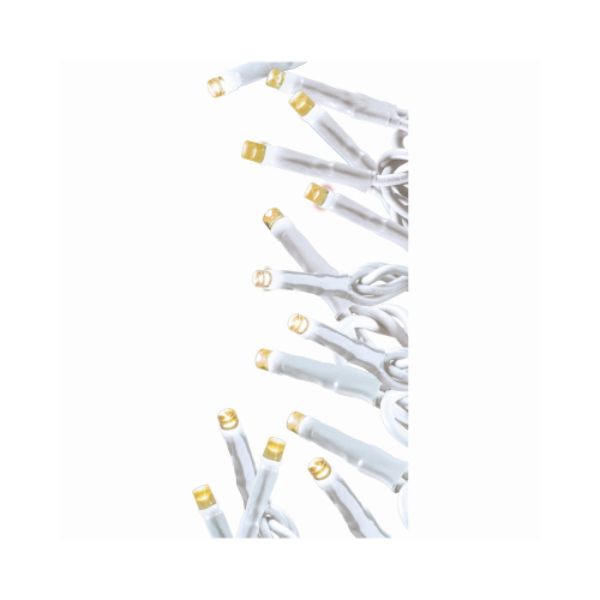 116113 Holiday Wonderland 100 Twinkle Lights, Warm White - Pack of 12 -  Ledup Manufacturing Group