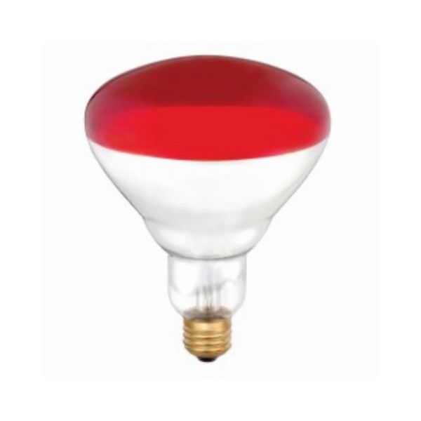 250W R40 Lamp, Red - Pack of 4