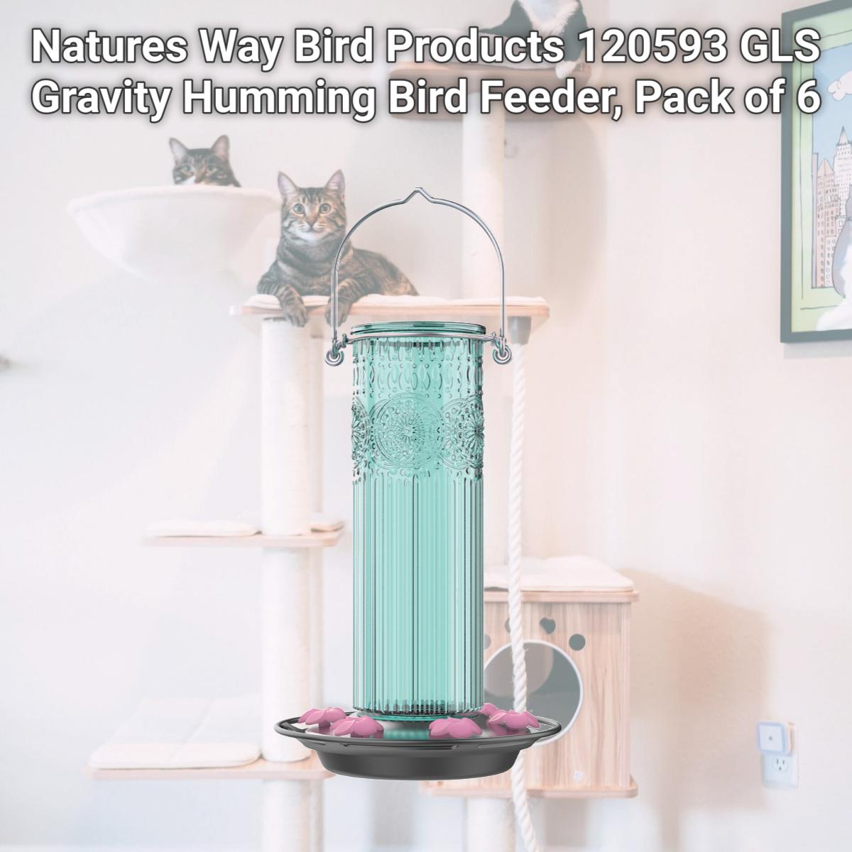 Picture of Natures Way Bird Products 120593 GLS Gravity Humming Bird Feeder, Pack of 6