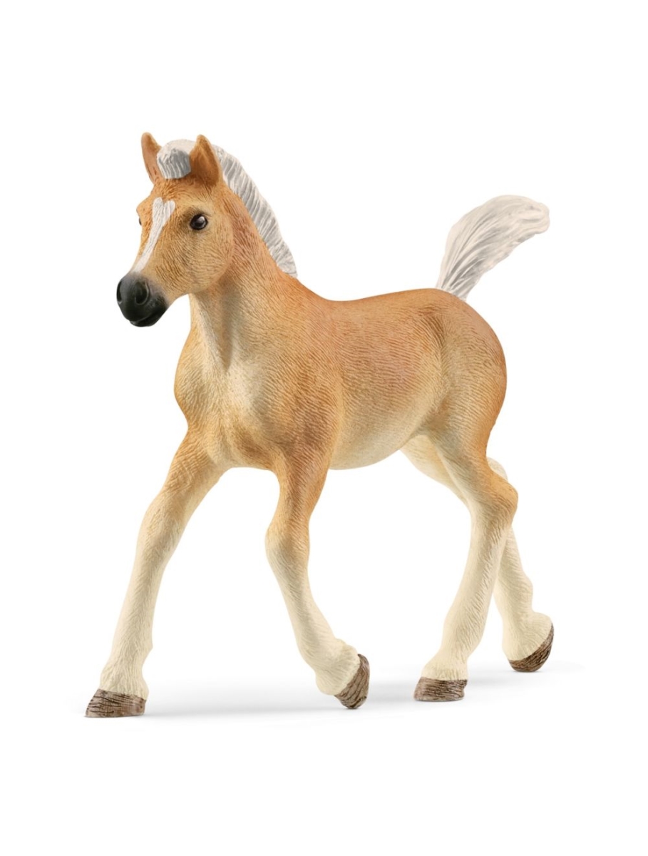 Picture of Schleich North America 125986 9 x 1.9 x 7 cm Horse Club Haflinger Foal Toy Figure - Pack of 5