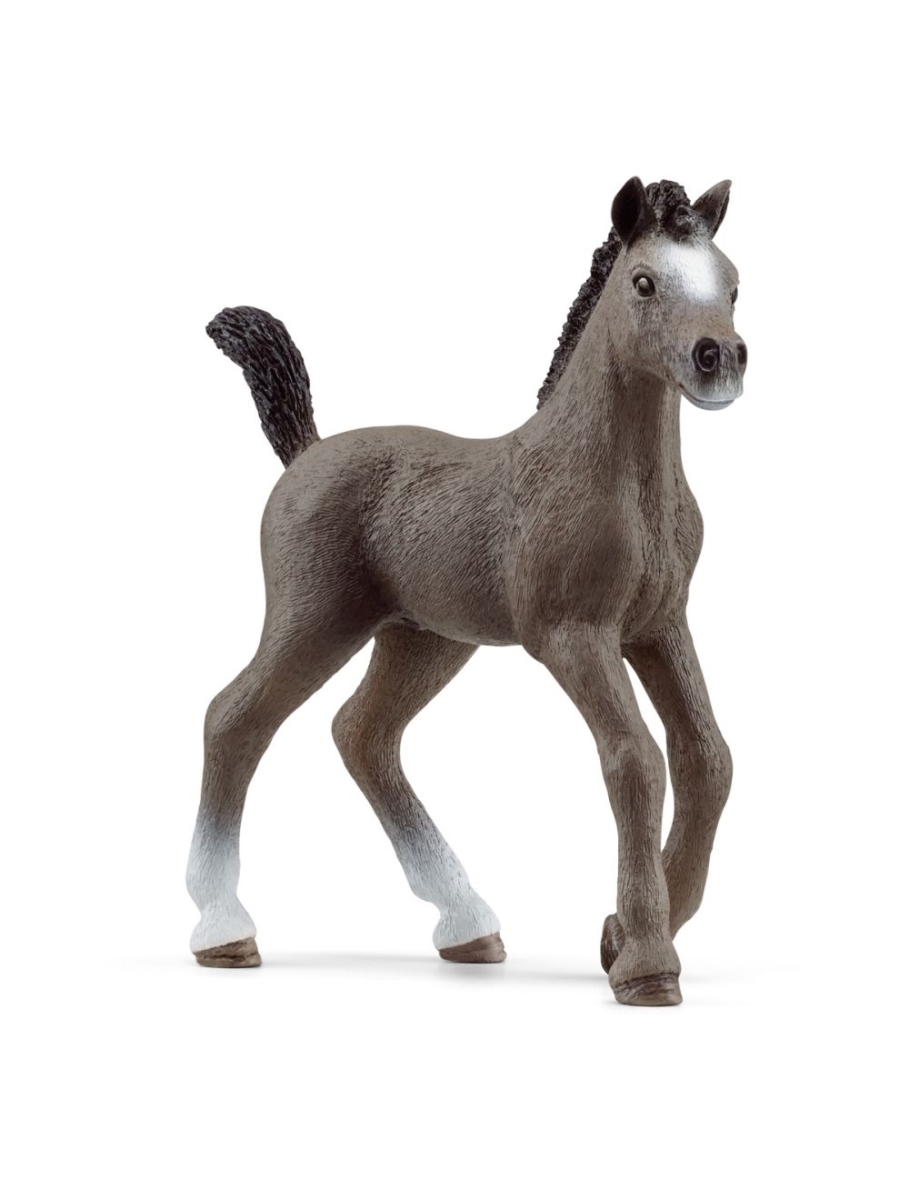 Picture of Schleich North America 126004 10 x 2 x 8 cm Horse Club Selle Francais Stallion Toy Figure - Pack of 5