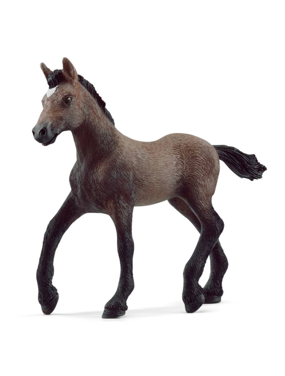 Picture of Schleich North America 125989 9.7 x 2 x 8 cm Horse Club Peruviaan Paso Mare Toy Figure - Pack of 5
