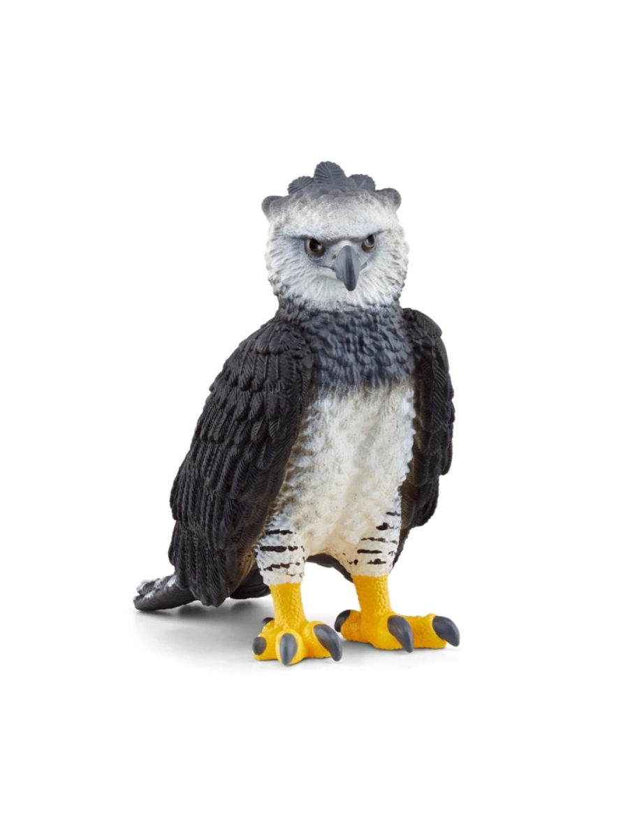 Picture of Schleich North America 126015 6.5 x 3.2 x 6.2 cm Wild Life Happy Eagle Toy Figure - Pack of 5