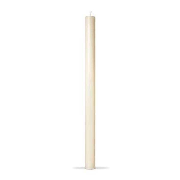 12 in. Class Candle, Ivory - Pack of 12