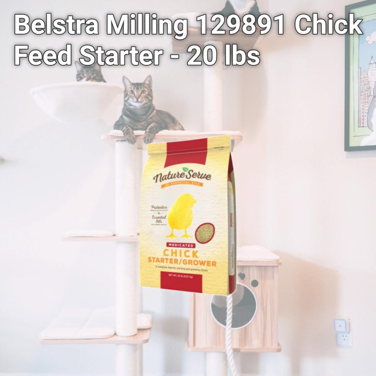 Picture of Belstra Milling 129891 Chick Feed Starter - 20 lbs
