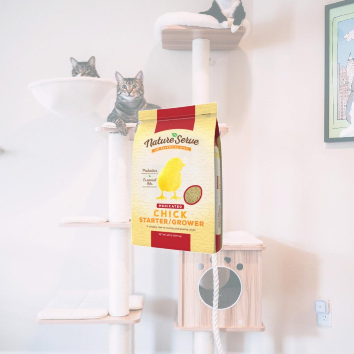 Picture of Belstra Milling 129891 Chick Feed Starter - 20 lbs