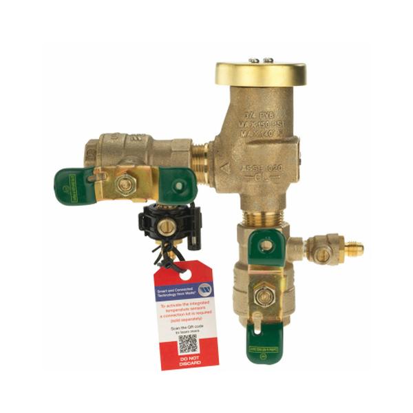Febco 3/4 in. FPT in. X 3/4 in. FPT in. Bronze Vacuum Breaker