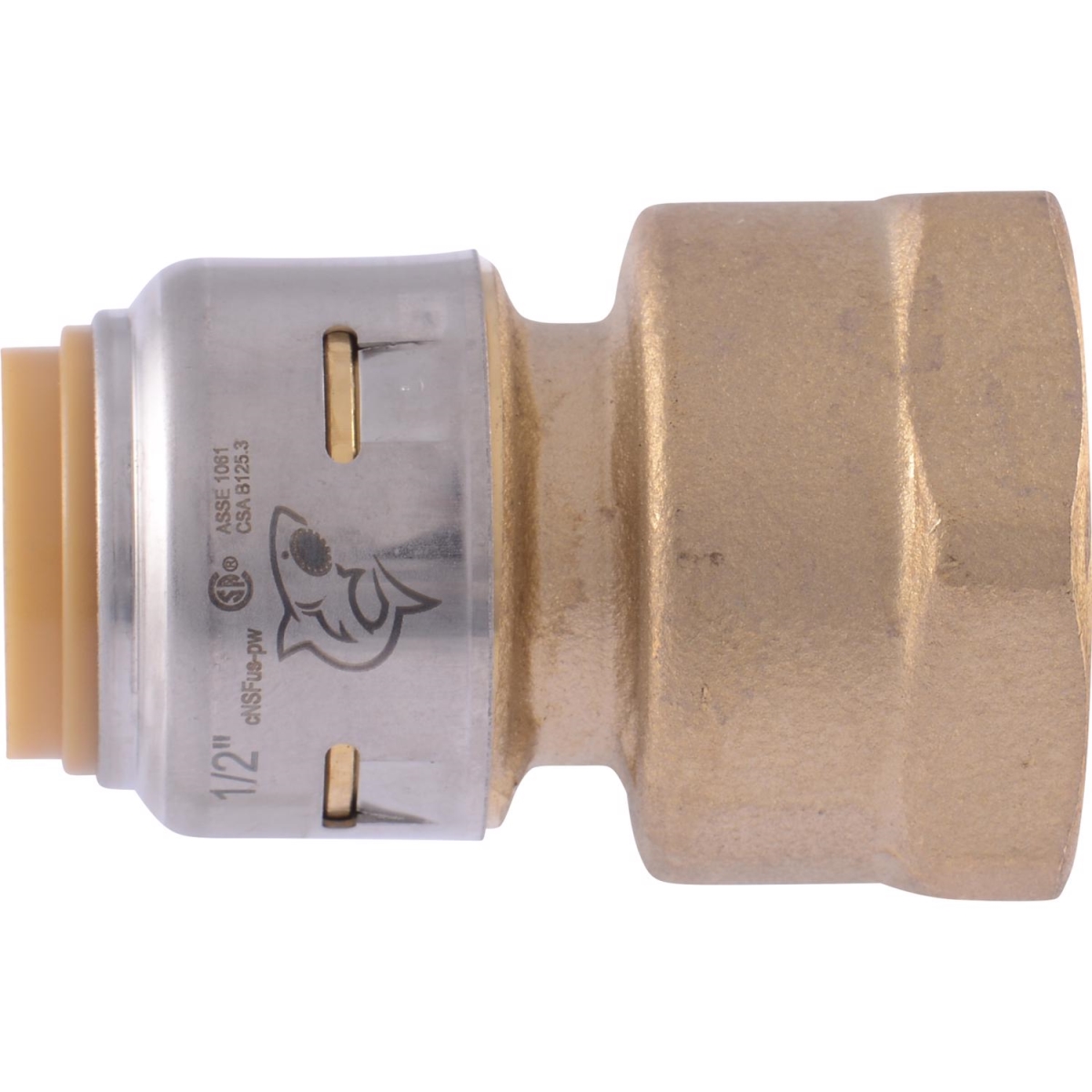 0.5 x 0.75 in. FIP Connector