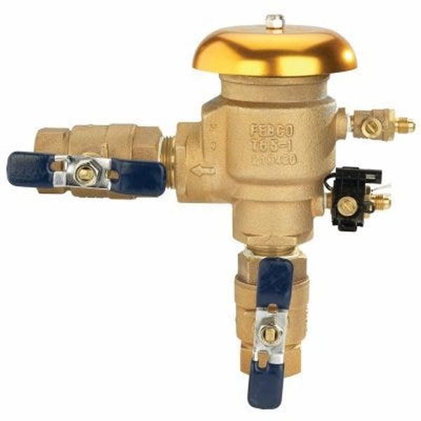 130265 1 in. Pressure Vacuum Breaker Valve -  Febco, T950010