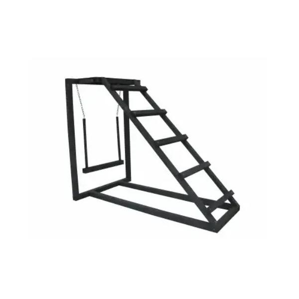 140731 Ladder & Swing Active Set