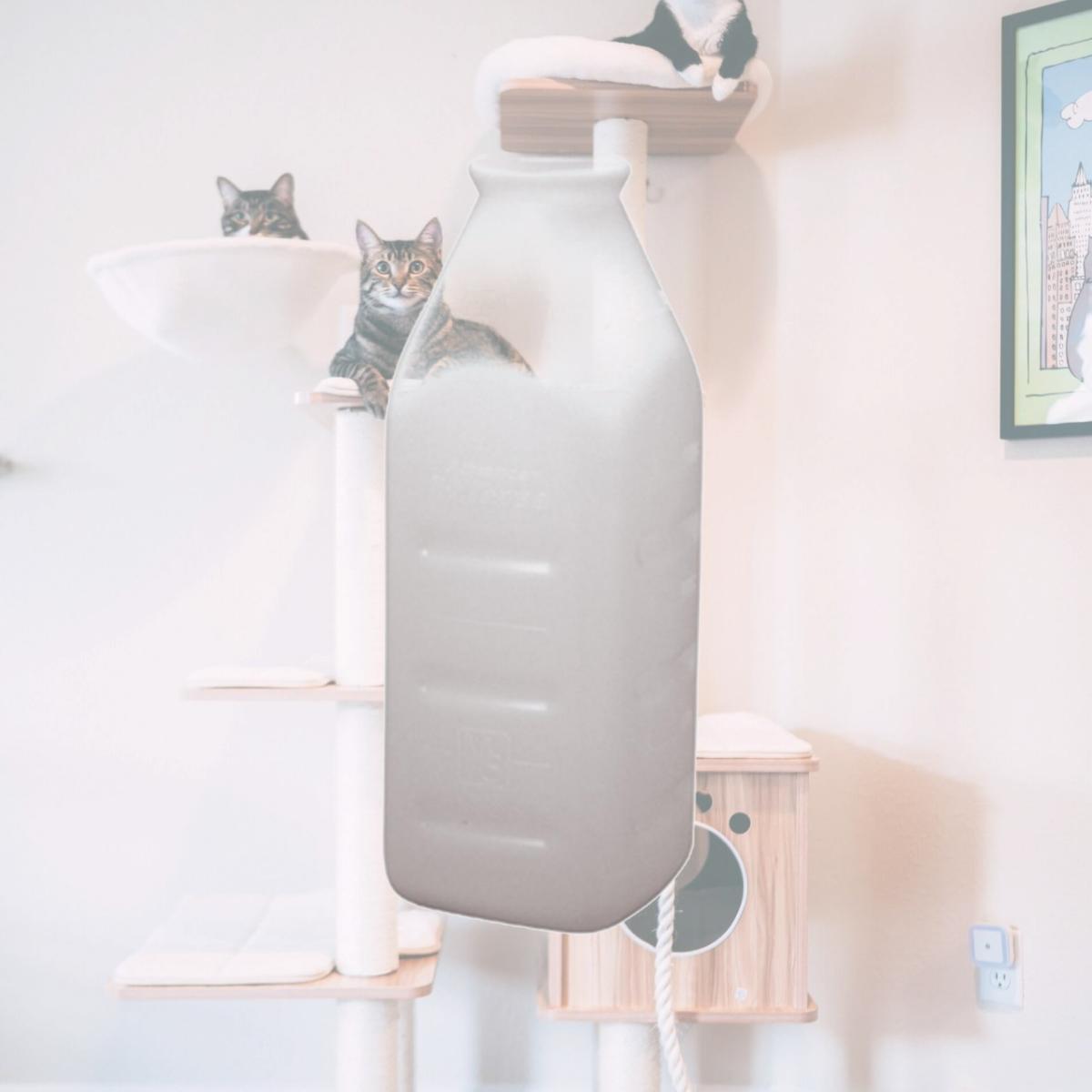 Picture of Fairchild Industries 974 2 Quart Advance Snap Top Replacement Bottle