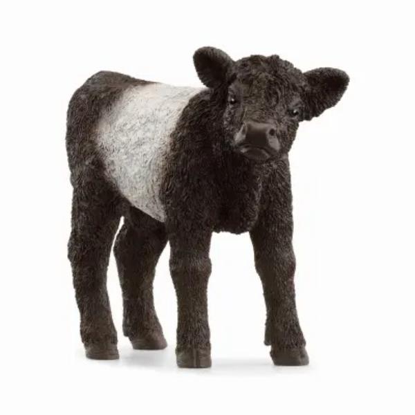 Picture of Schleich North America 141269 Galloway Calf - Pack of 5