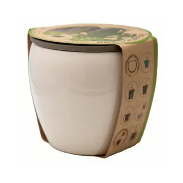 149499 5.75 in. Self-Watering Aquatic Planter, White