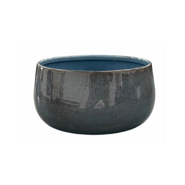 125678 5 in. Mini Bella Bowl Sky Planter, Pack of 12