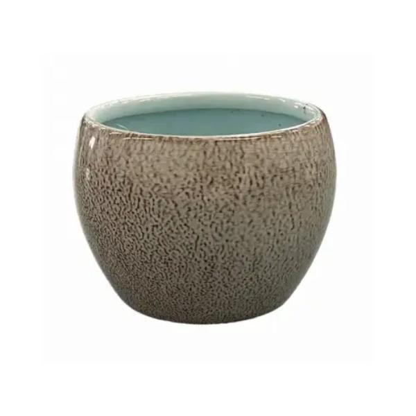 125652 4 in. Small Brae Mint Planter - Pack of 6