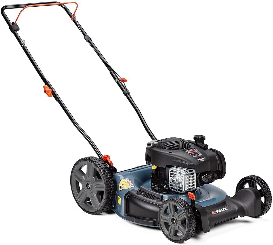 151996 21 in. 125 cc 4 Cycle Gas Push Lawn Mower with Briggs & Stratton Engine - Blue