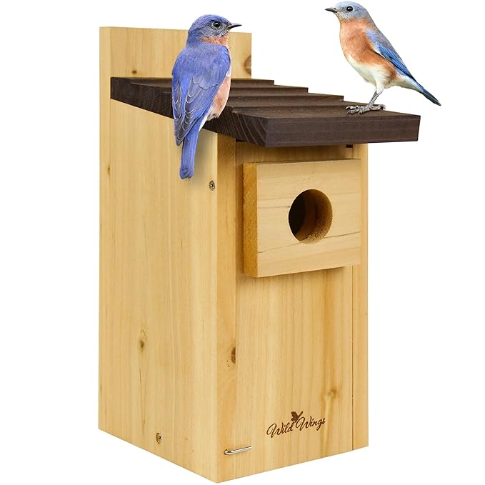 153705 Cedar Bluebird Box House