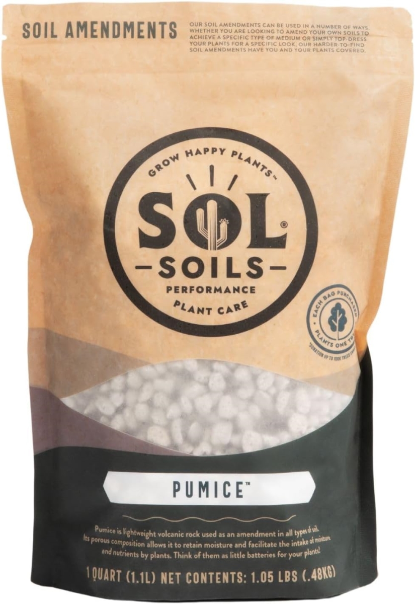155353 1 qt. Pumice Amendments Soil Conditioner