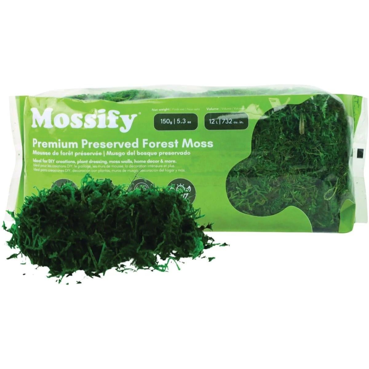 162800 5.3 oz 150 g Premium Preserved Forest Moss