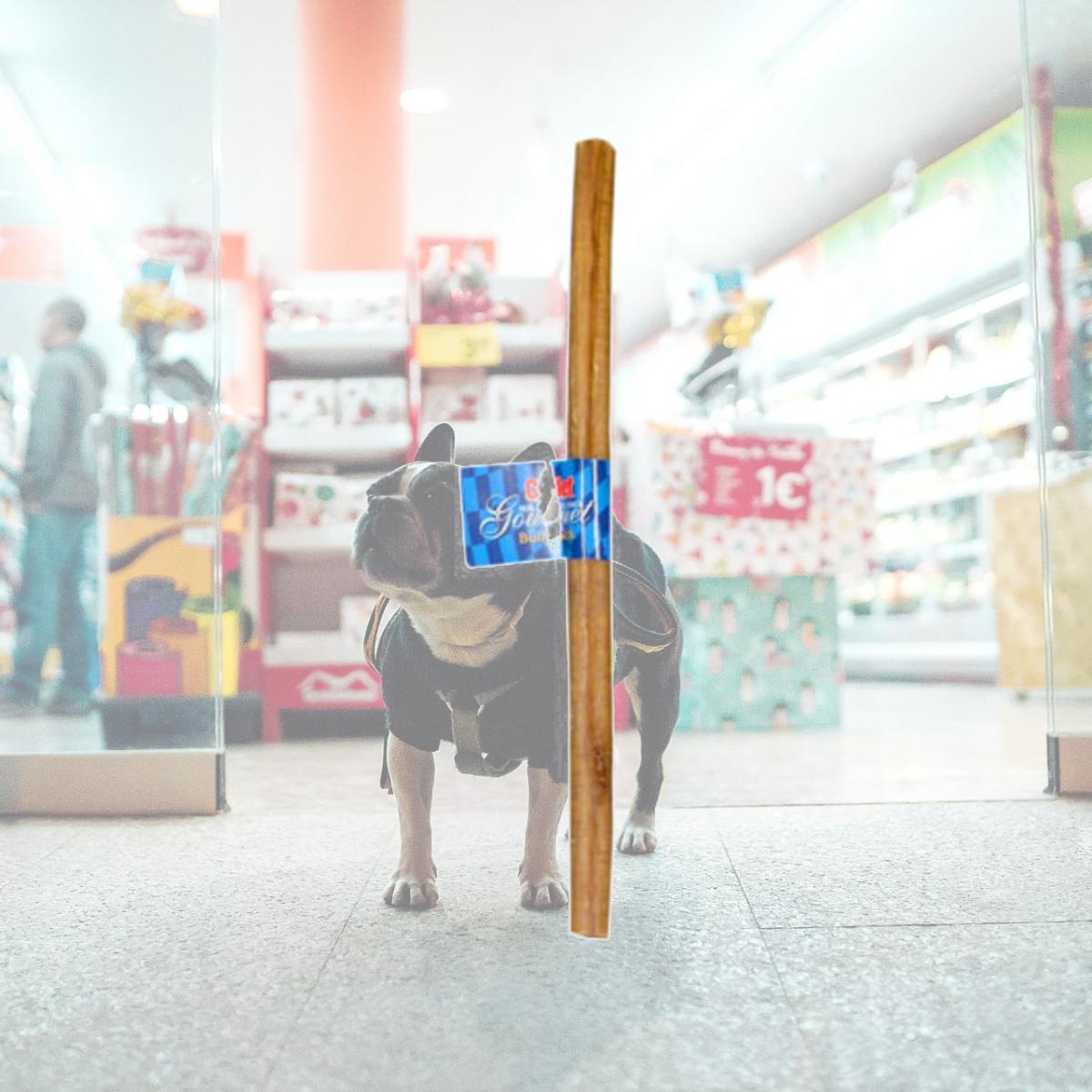 Picture of IMS Trading 10554-6 12 in. Bully Stick