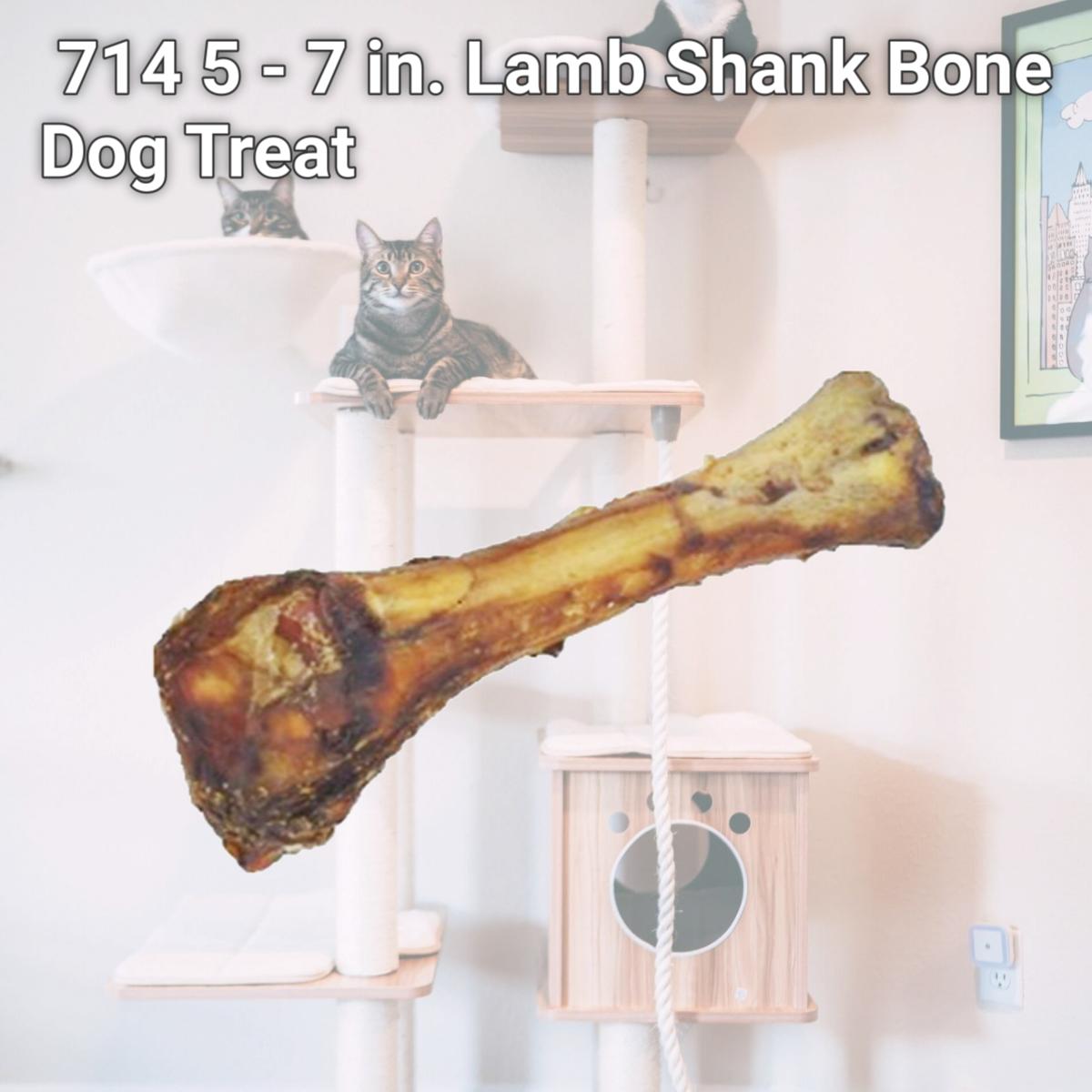 Picture of Jones Natural Chews 714 5 - 7 in. Lamb Shank Bone Dog Treat