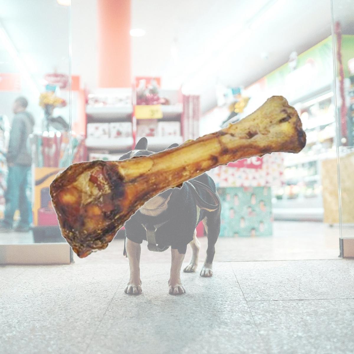 Picture of Jones Natural Chews 714 5 - 7 in. Lamb Shank Bone Dog Treat