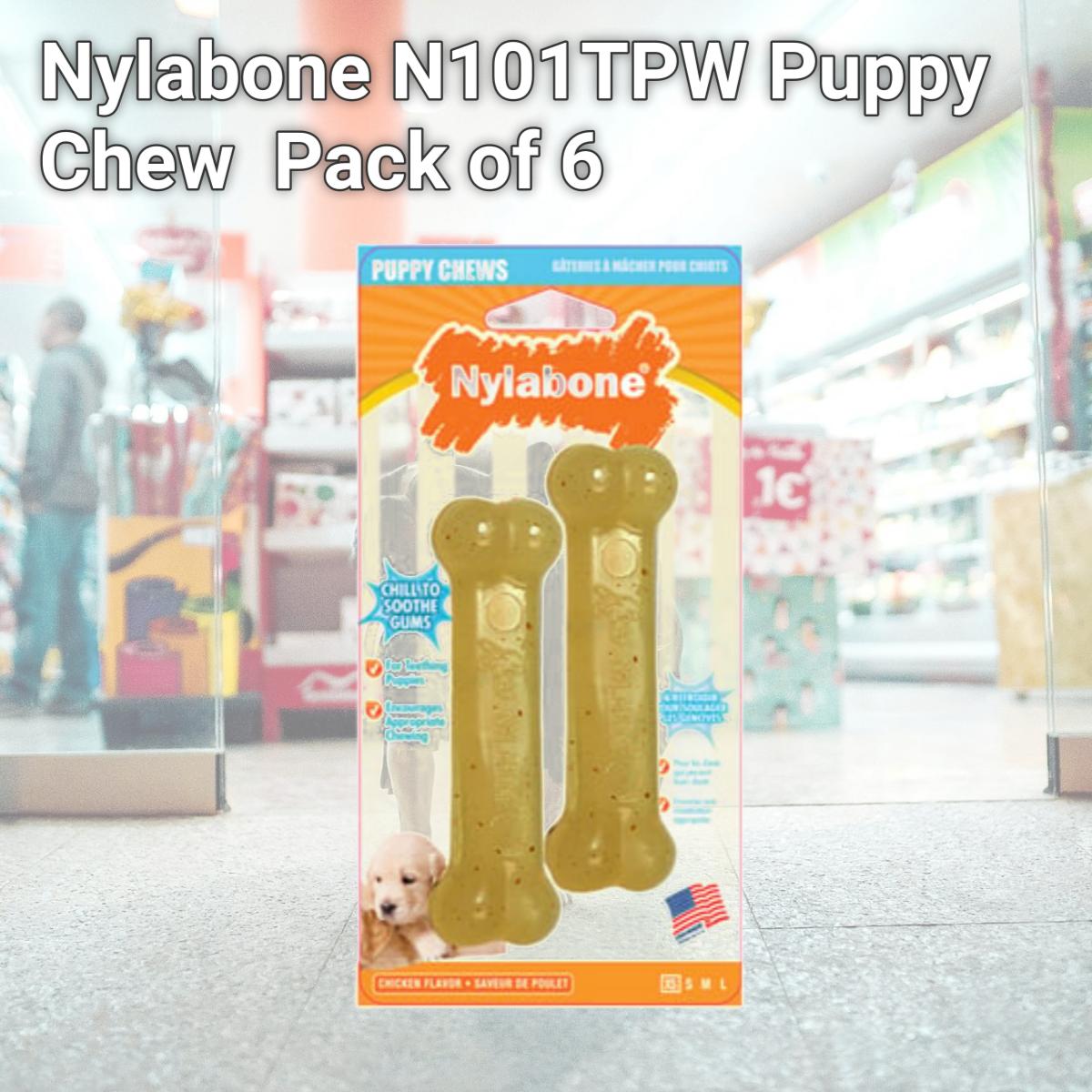 Picture of Nylabone N101TPW Puppy Chew  Pack of 6