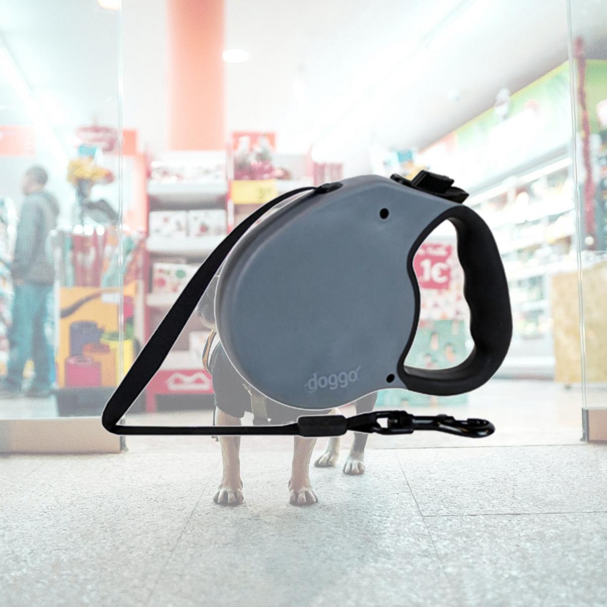 Picture of Doggo DGO RLSH GG LG 16 ft. Everyday Retractable Leash- Gray - Large