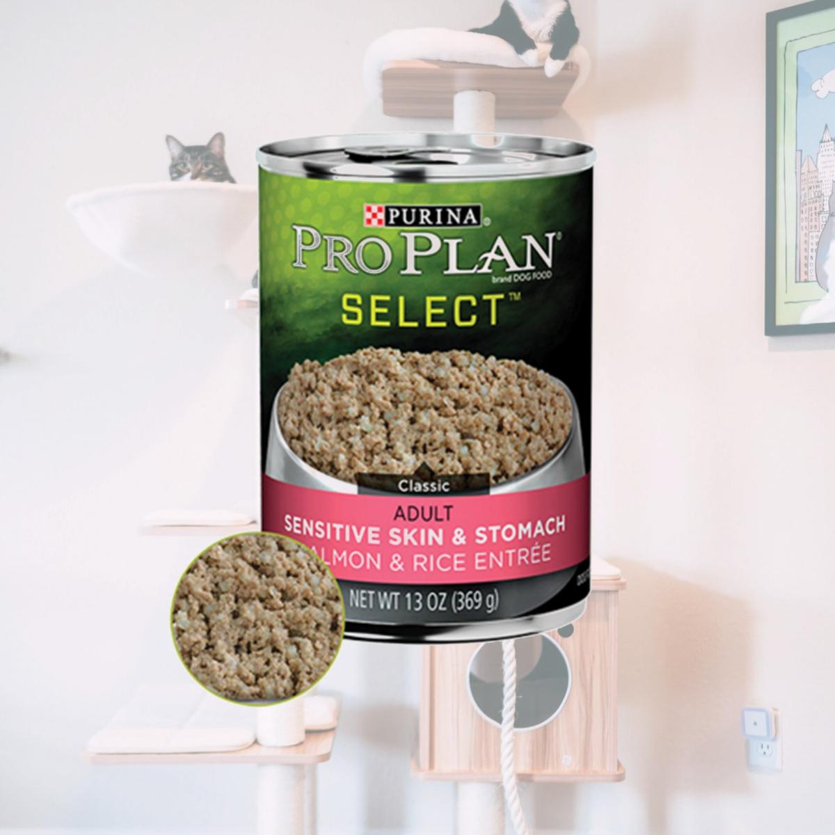 Picture of Purina 02766 Proplan Salmon &amp; Rice Entree Dog Food - 13 oz. 