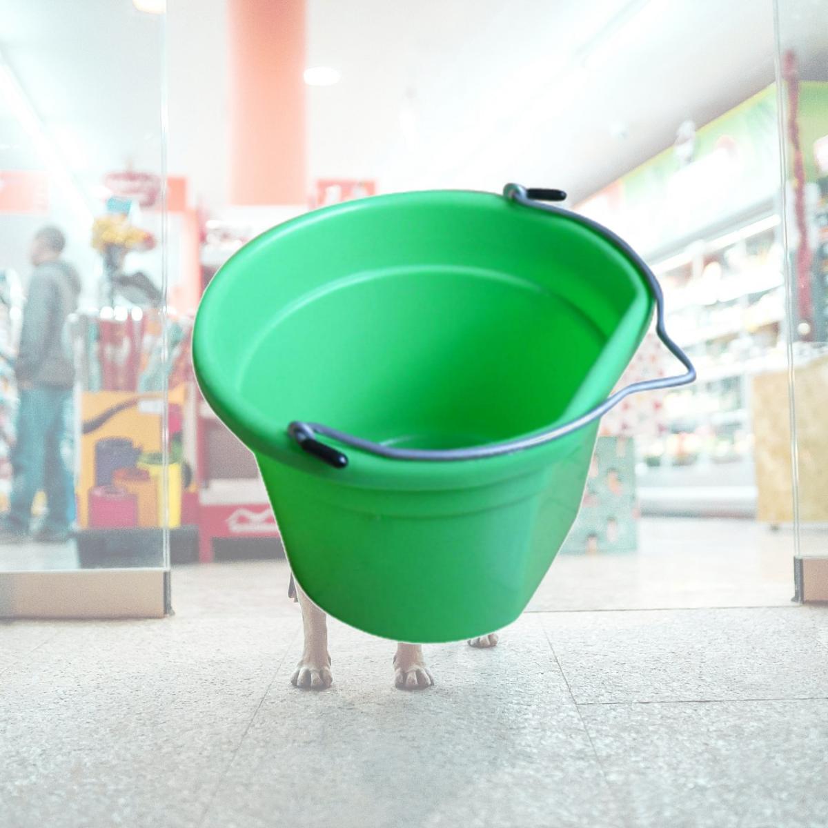 Picture of Master Rancher MR8QP-FSB-GRN 8 Quart Green Flat Bucket