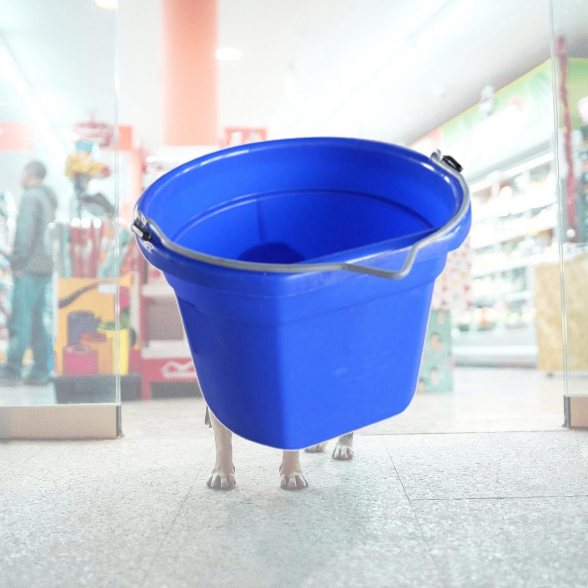 Picture of Master Rancher MR8QP-FSB-BLUE 8 Quart Blue Flat Bucket