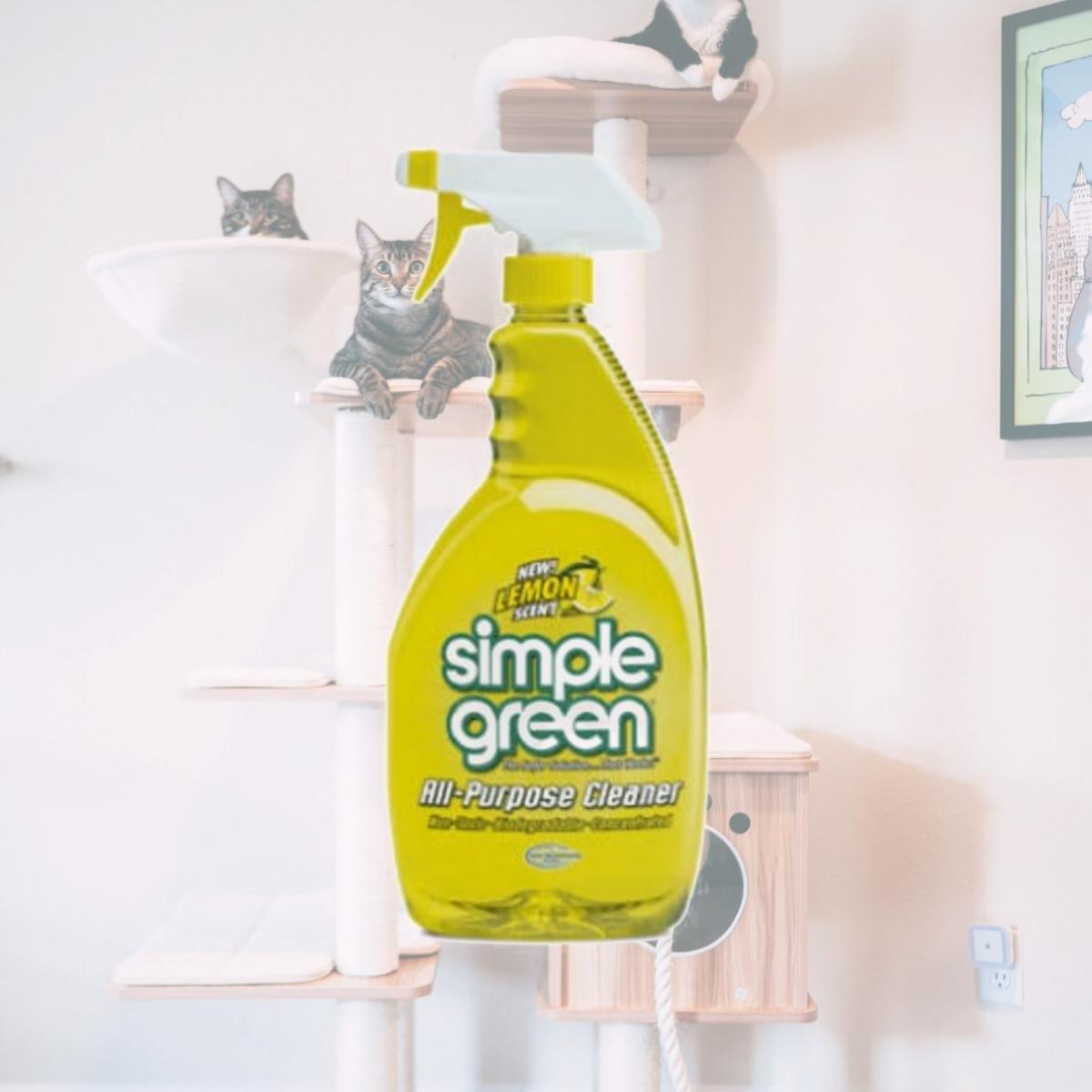 Picture of Sunshine Makers 3010001214002 24 oz. Simple Green Cleaner