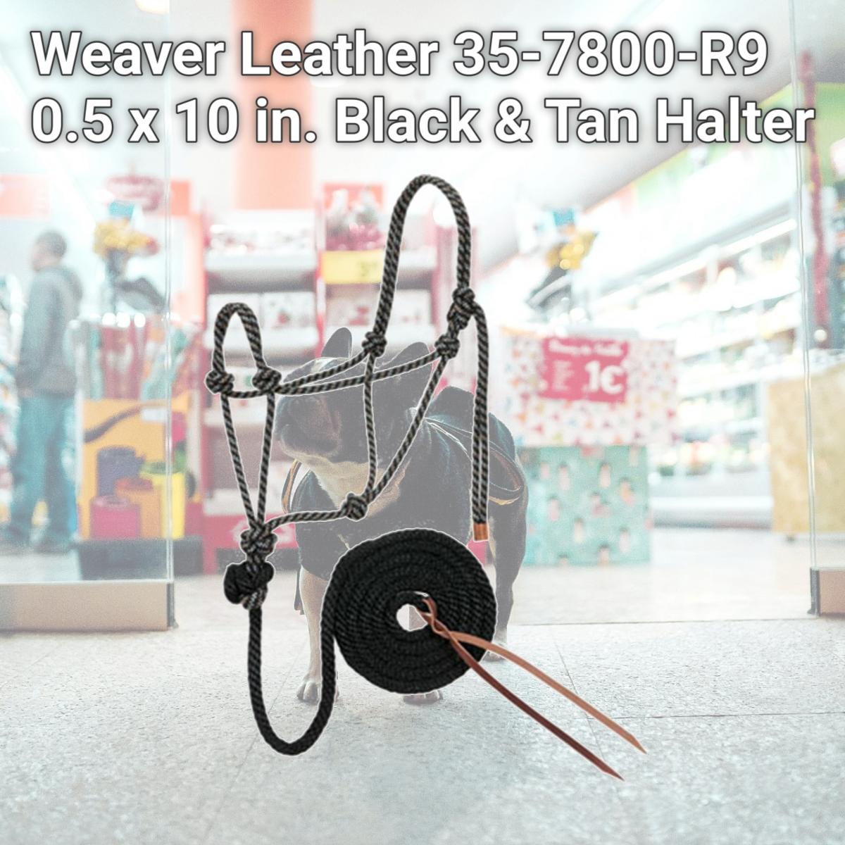 Picture of Weaver Leather 35-7800-R9 0.5 x 10 in. Black & Tan Halter