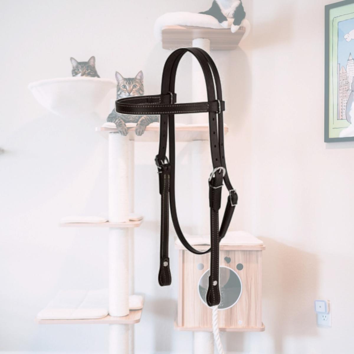 Picture of Weaver Leather 35-1999-BK Horse Brahma Webb Browband Headstall- Black