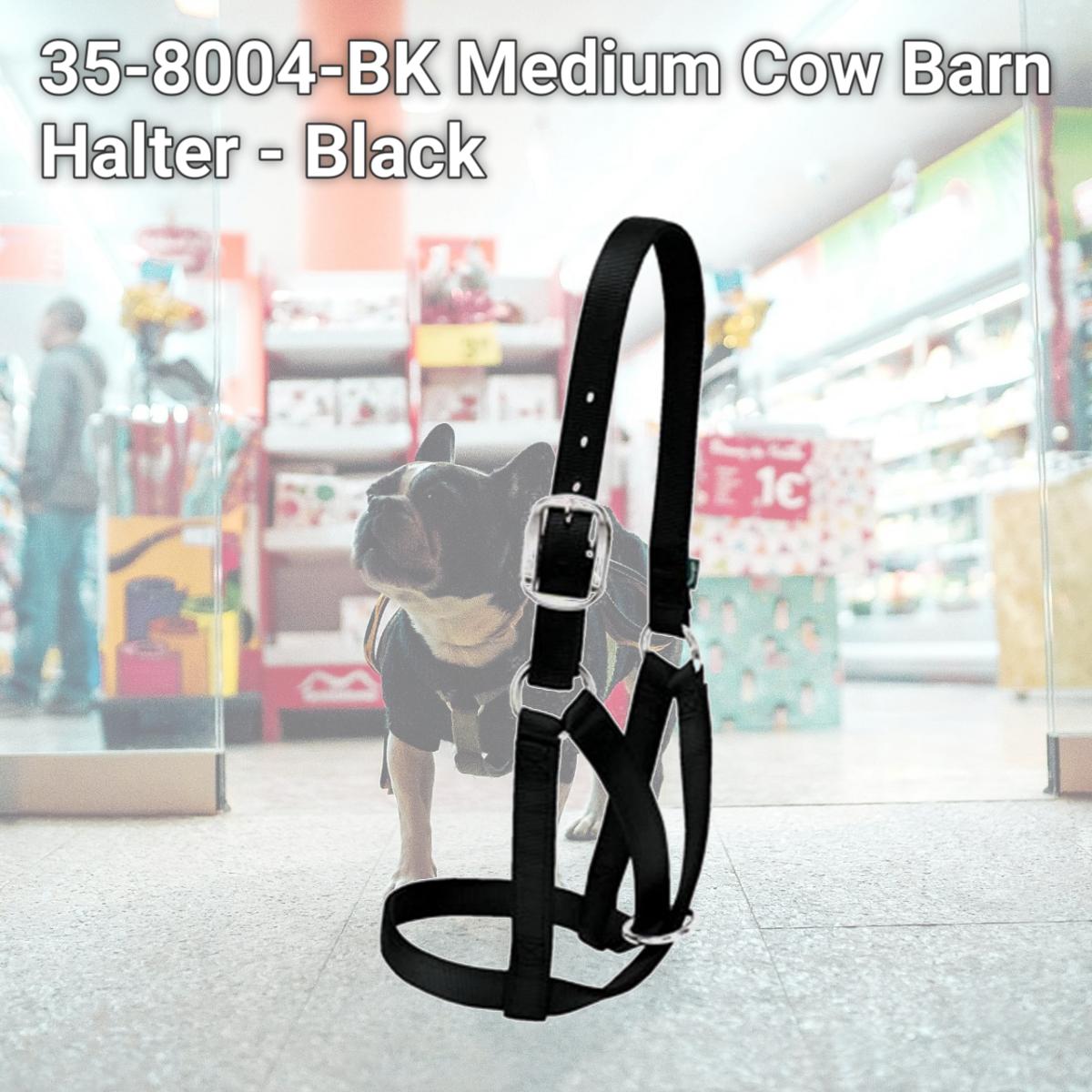 Picture of Weaver Leather 35-8004-BK Medium Cow Barn Halter - Black