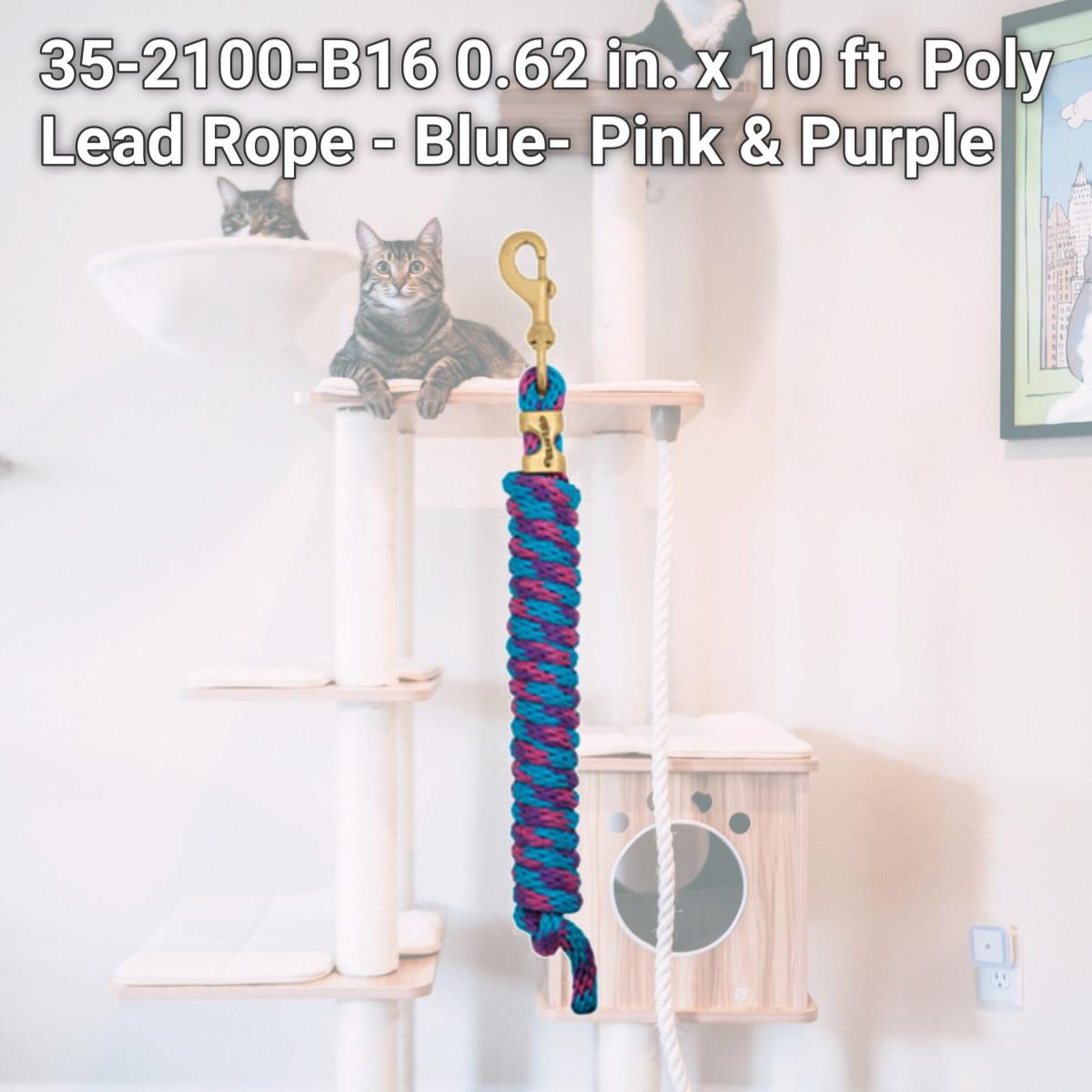 Picture of Weaver Leather 35-2100-B16 0.62 in. x 10 ft. Poly Lead Rope - Blue- Pink & Purple
