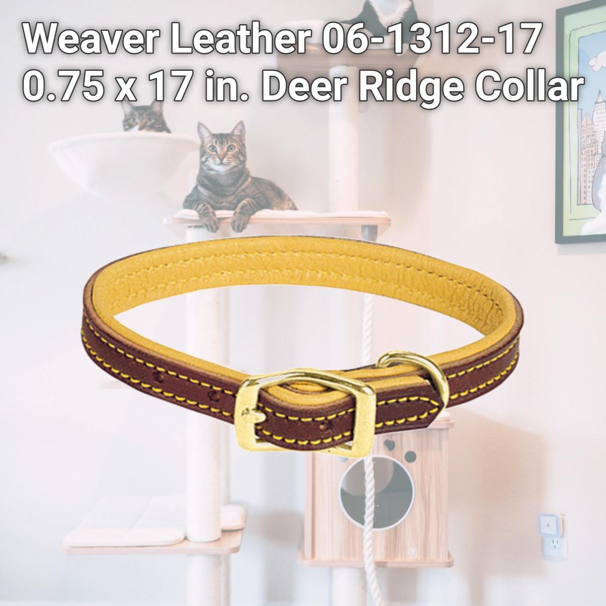 Picture of Weaver Leather 06-1312-17 0.75 x 17 in. Deer Ridge Collar