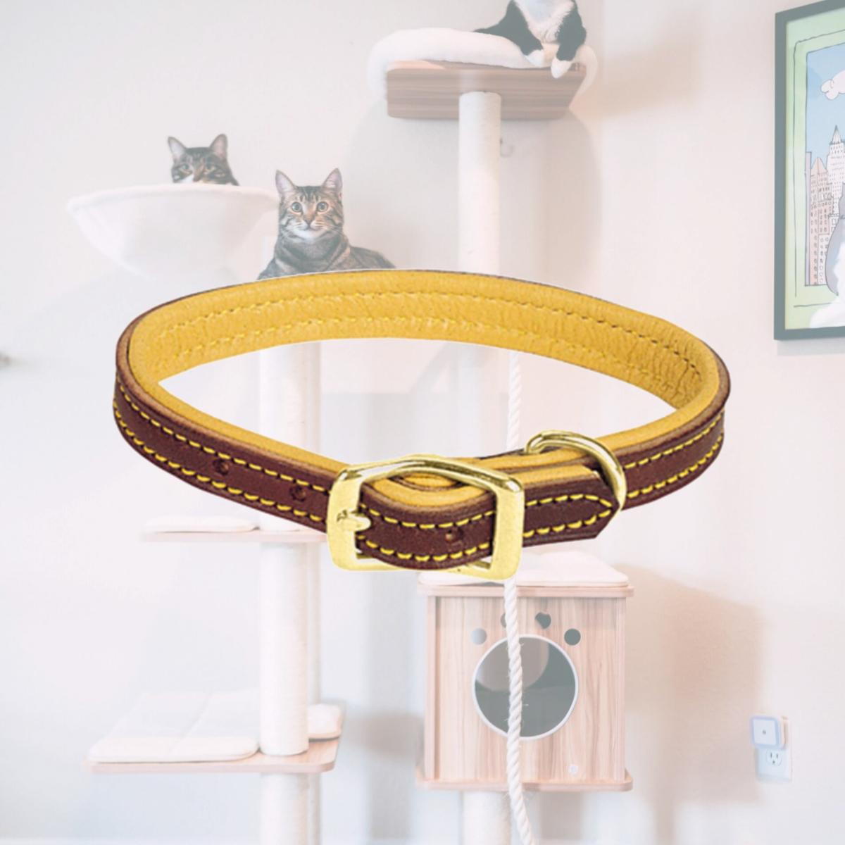 Picture of Weaver Leather 06-1313-21 1 x 21 in. Deer Ridge Collar