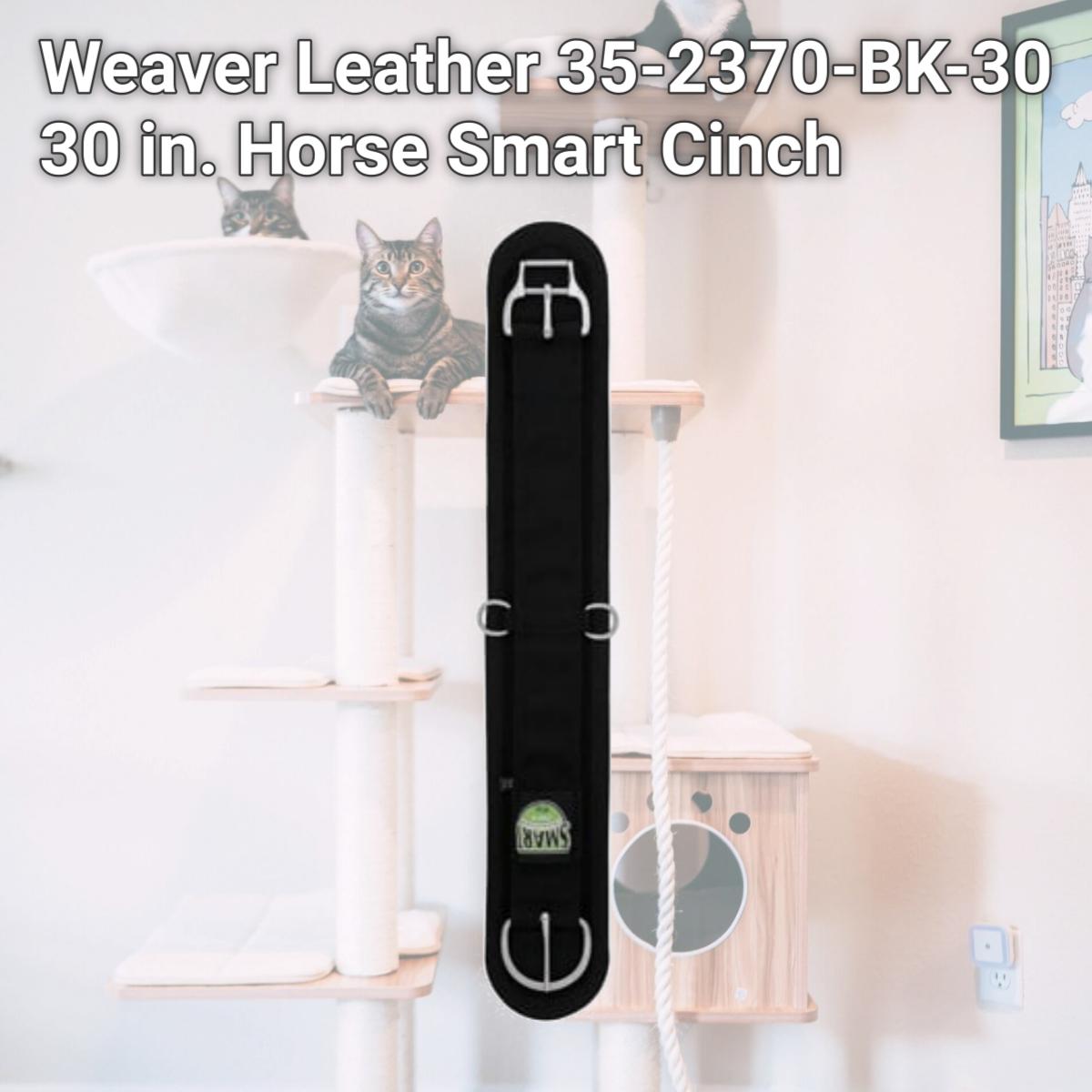 Picture of Weaver Leather 35-2370-BK-30 30 in. Horse Smart Cinch
