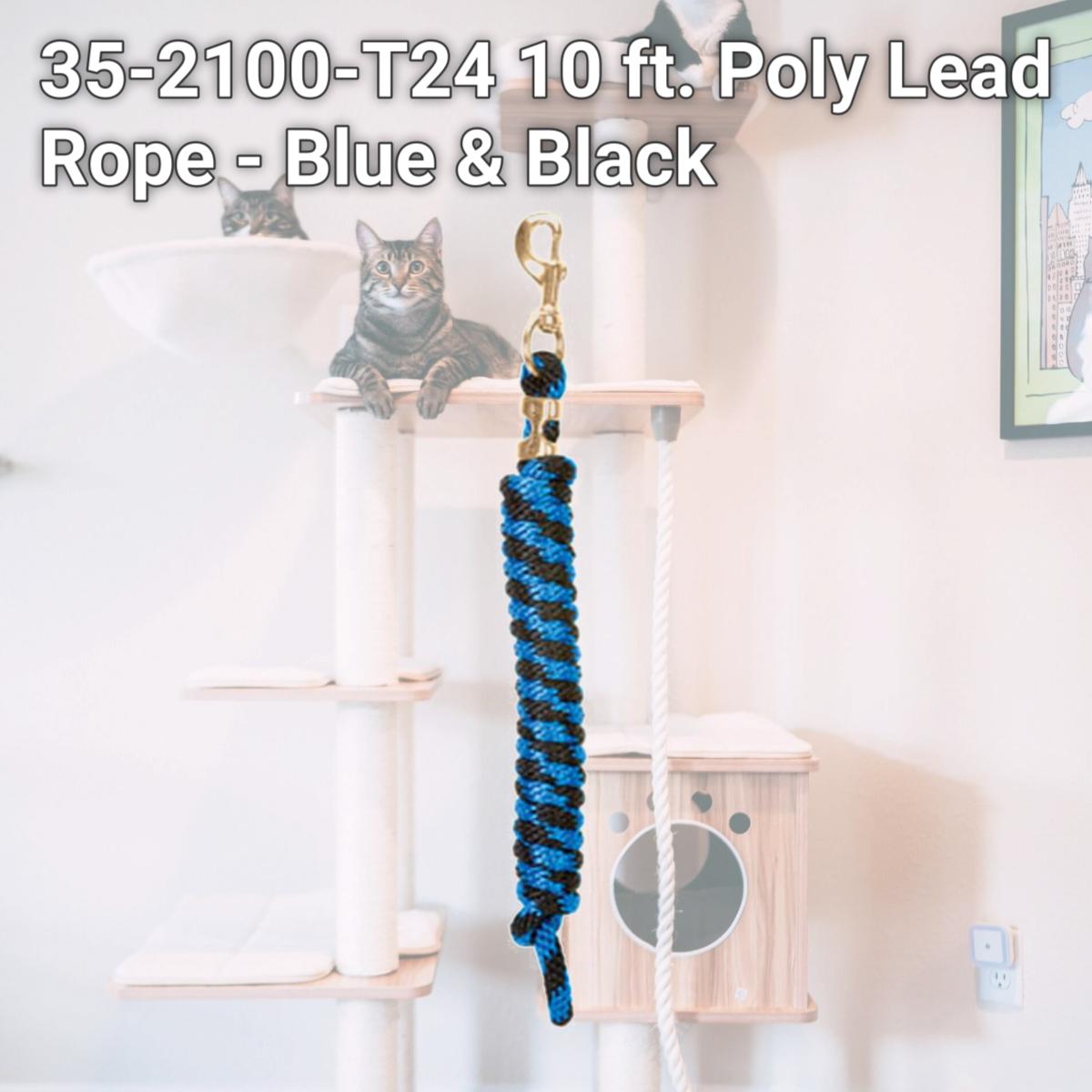 Picture of Weaver Leather 35-2100-T24 10 ft. Poly Lead Rope - Blue & Black