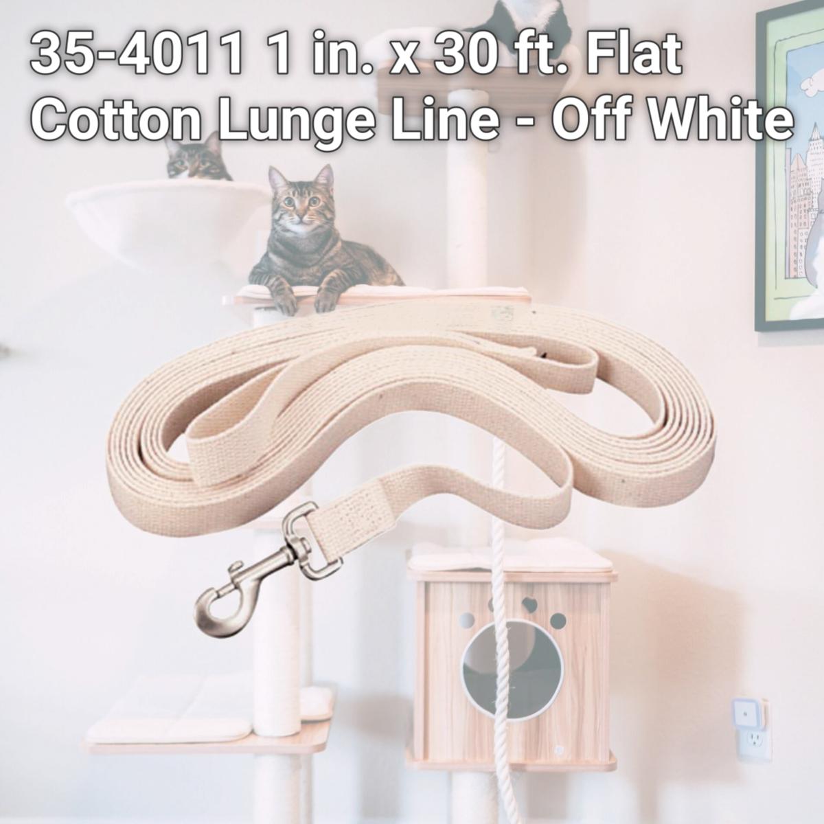 Picture of Weaver Leather 35-4011 1 in. x 30 ft. Flat Cotton Lunge Line - Off White