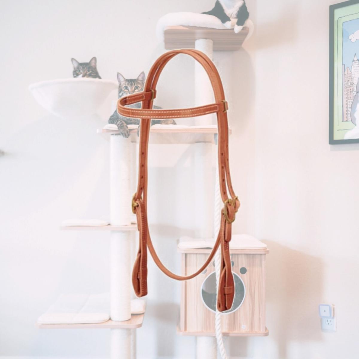 Picture of Weaver Leather 10-0078 0.62 in. Oak Russet Quick Change Browband Headstall