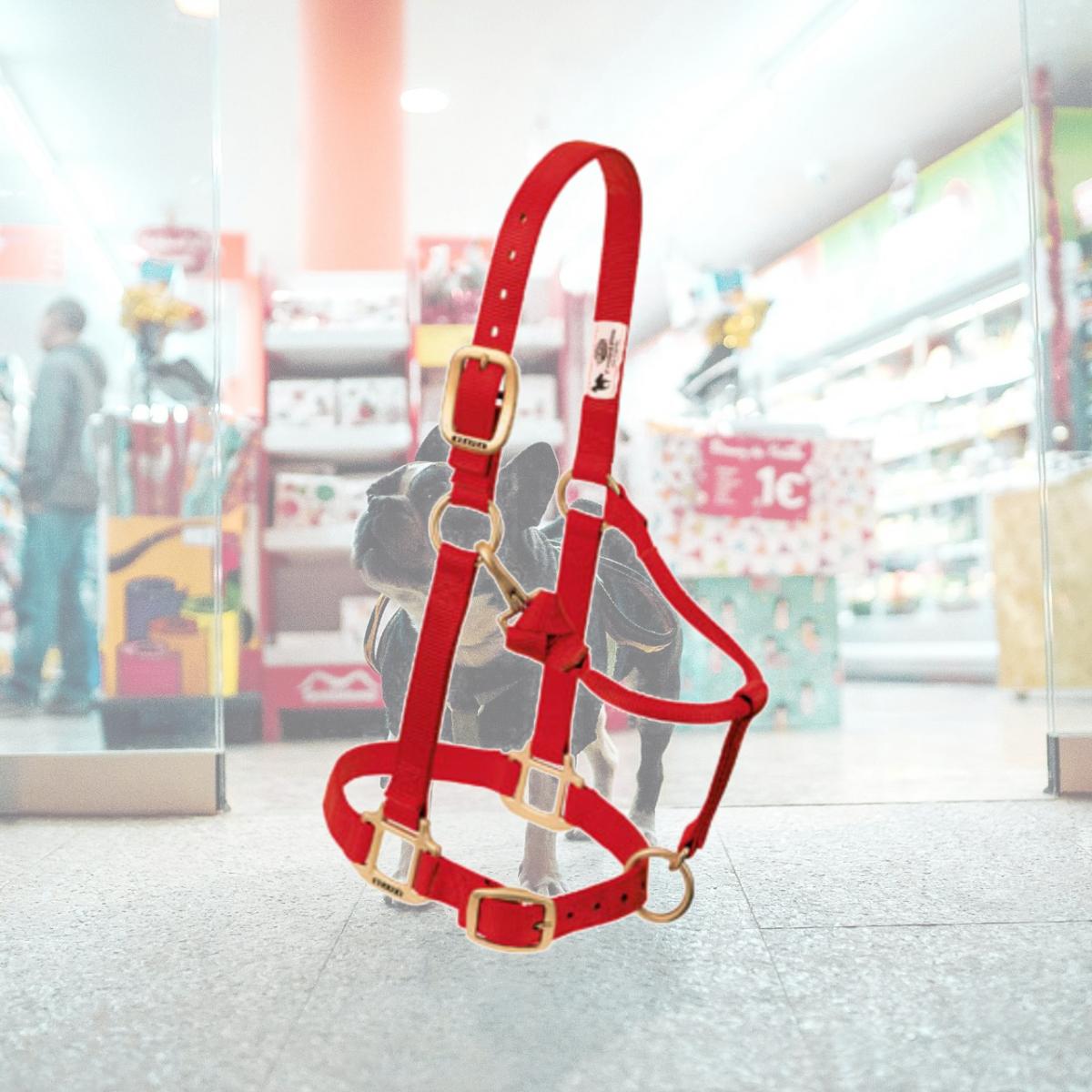 Picture of Weaver Leather 35-7035-RD 1 in. Original Adjustable Chin & Throat Snap Halter - Red