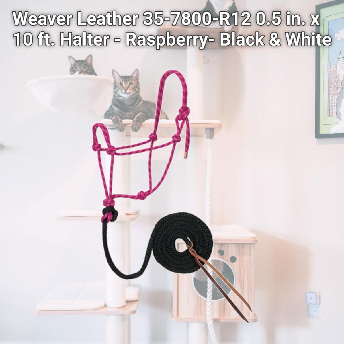 Picture of Weaver Leather 35-7800-R12 0.5 in. x 10 ft. Halter - Raspberry- Black & White