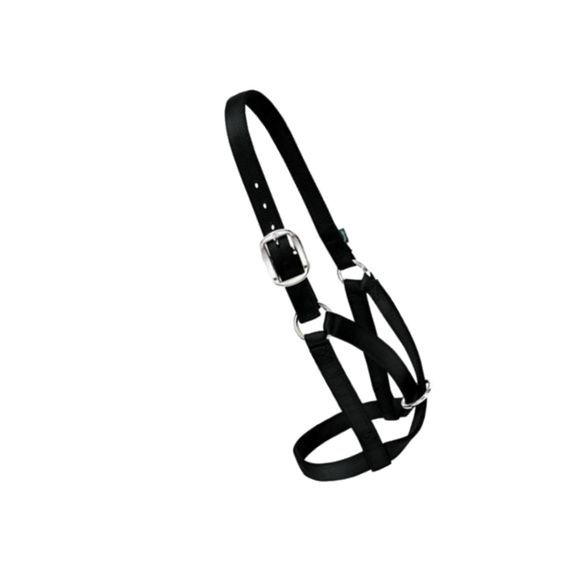 Picture of Weaver Leather 35-8003-BK 1 in. Cow Barn Halter - Small- Black