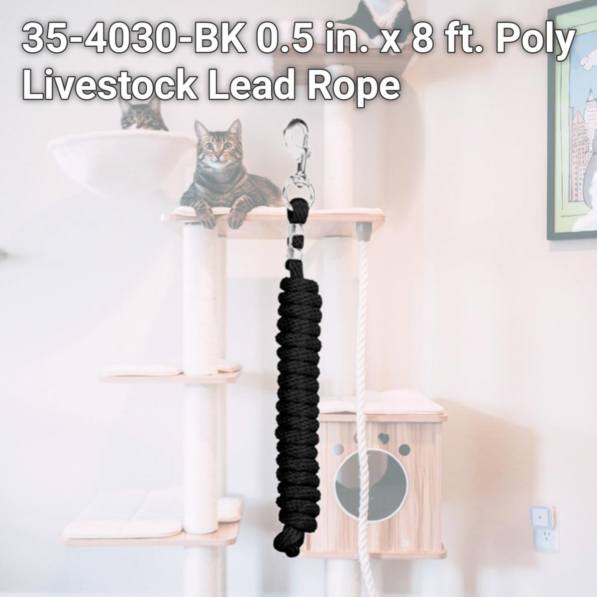 Picture of Weaver Leather 35-4030-BK 0.5 in. x 8 ft. Poly Livestock Lead Rope