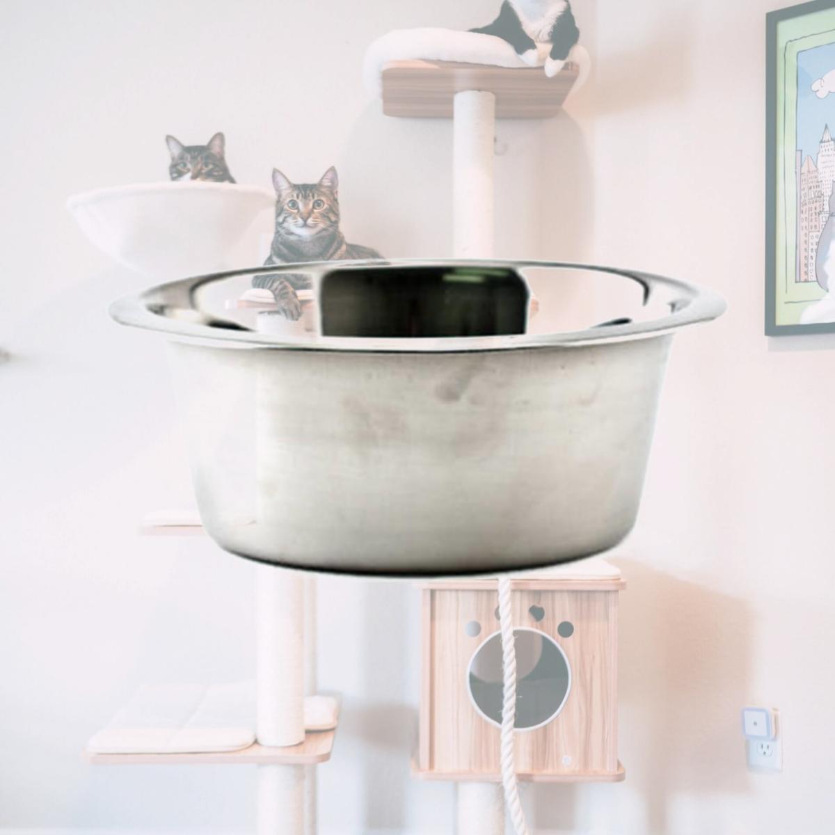Picture of Westminster Pet Products 15032 32 oz. Stainless Steel Pet Bowl