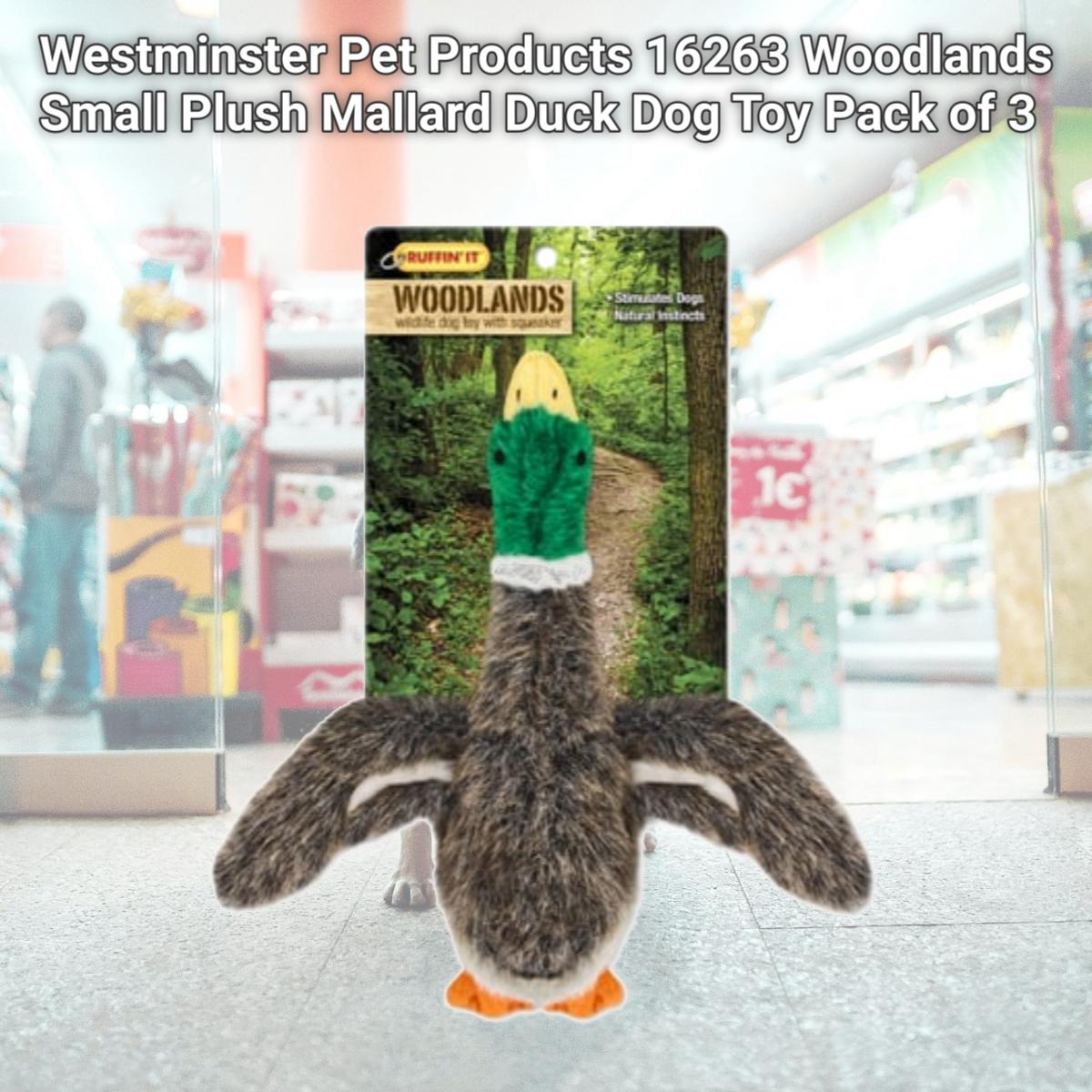 Picture of Westminster Pet Products 16263 Woodlands Small Plush Mallard Duck Dog Toy Pack of 3
