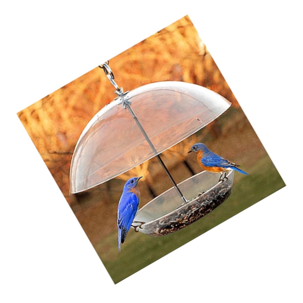 Picture of Woodlink NABBFDR Dome Top Seed & Bluebird Bird Feeder